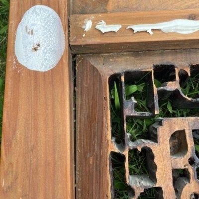 HC-002 — Chinese Architectural Carved Shutters, Set of Four (view 33)
